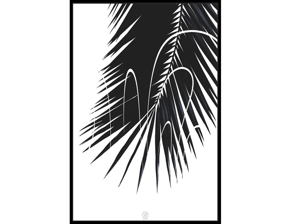 PALM